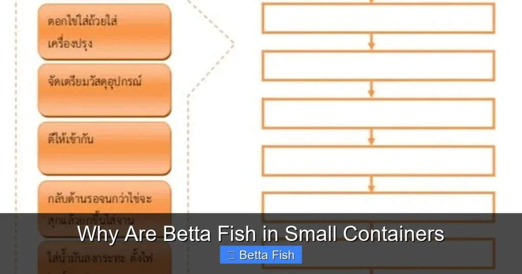 Why Are Betta Fish in Small Containers