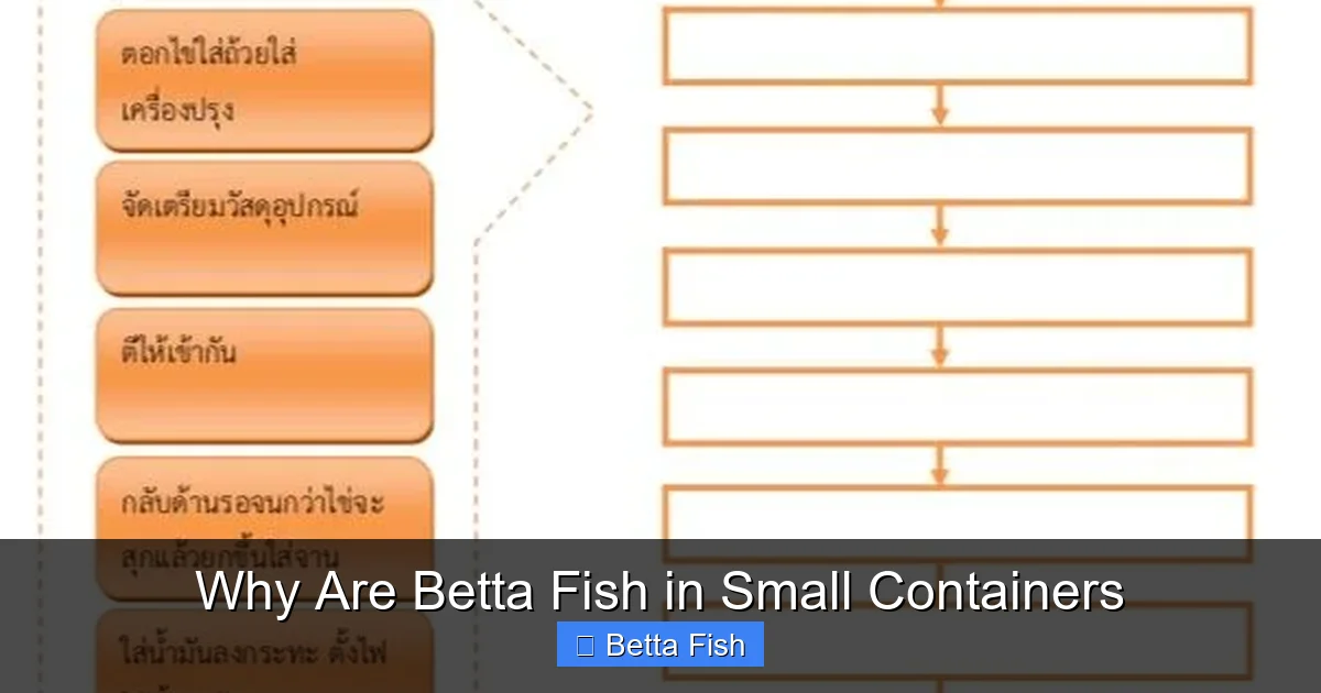 Why Are Betta Fish in Small Containers
