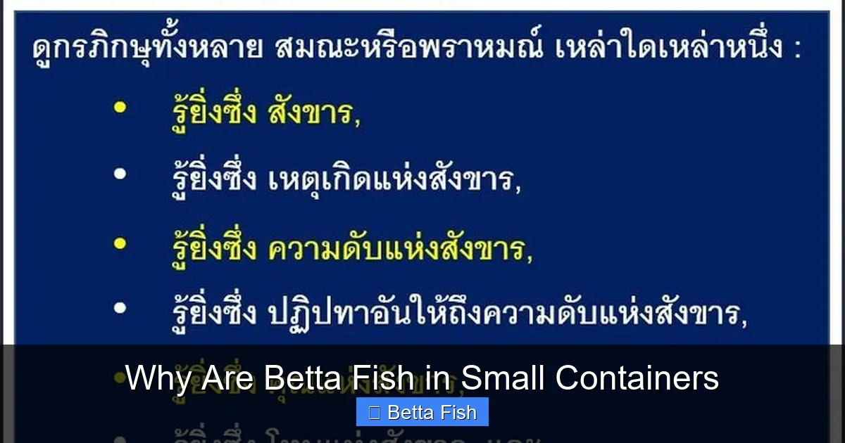 Why Are Betta Fish in Small Containers