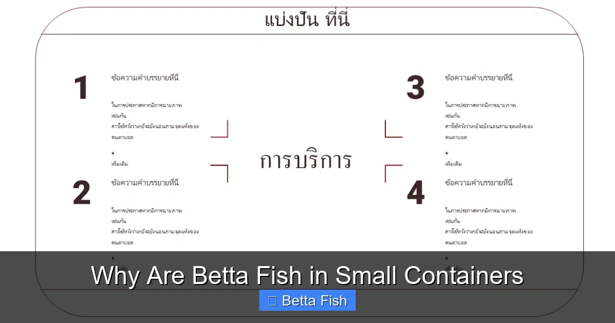 Why Are Betta Fish in Small Containers