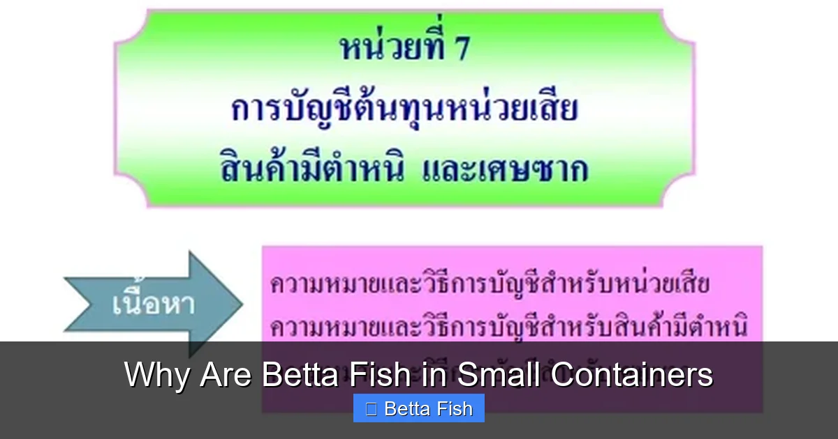 Why Are Betta Fish in Small Containers