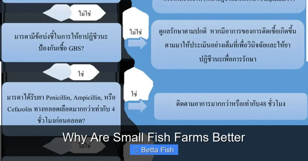 Why Are Small Fish Farms Better