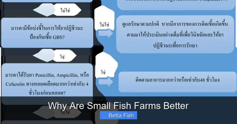 Why Are Small Fish Farms Better