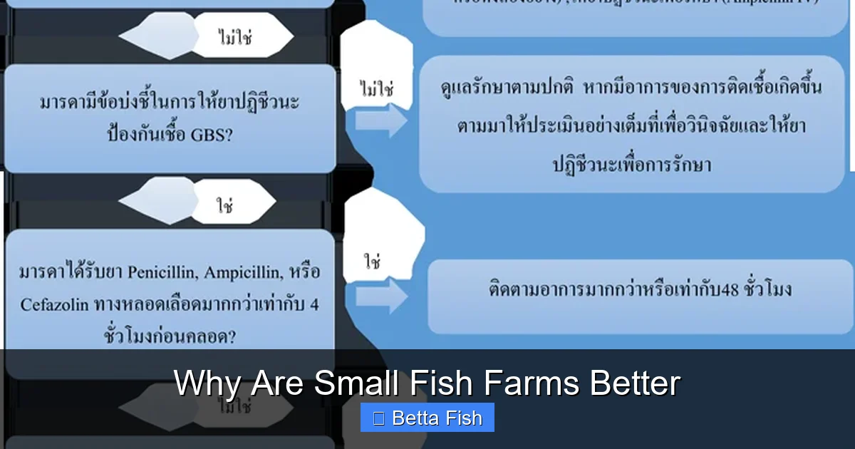 Why Are Small Fish Farms Better