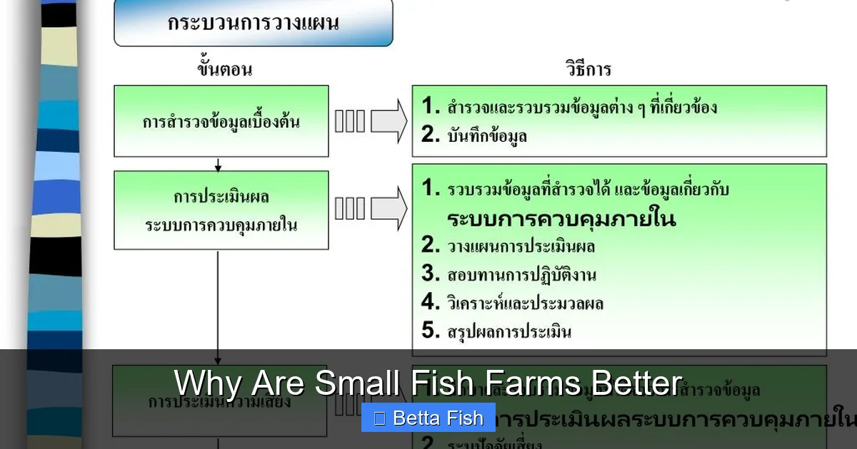 Why Are Small Fish Farms Better
