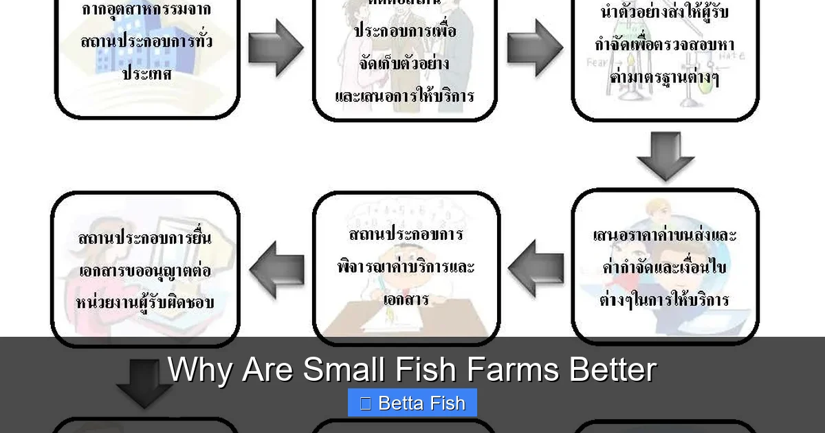 Why Are Small Fish Farms Better