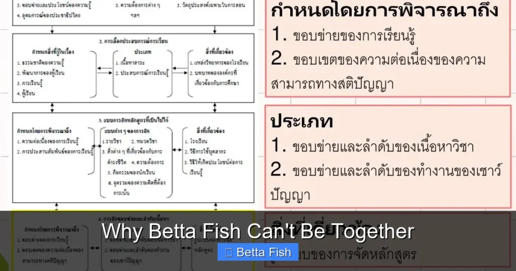 Why Betta Fish Can't Be Together
