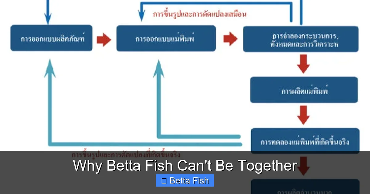 Why Betta Fish Can't Be Together
