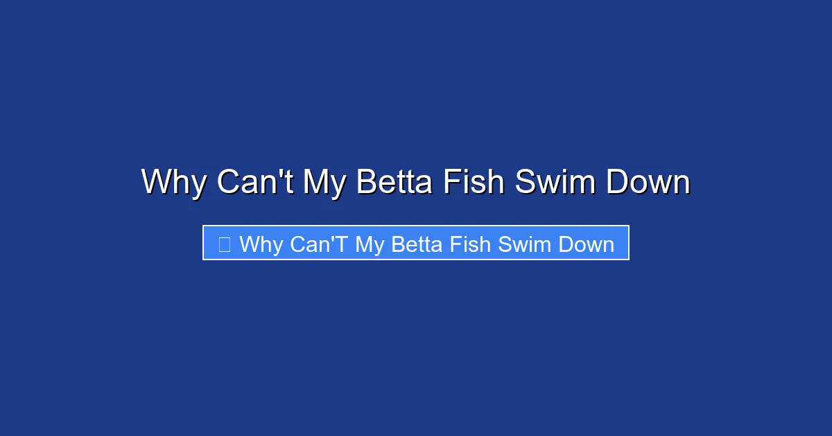 Why Can't My Betta Fish Swim Down
