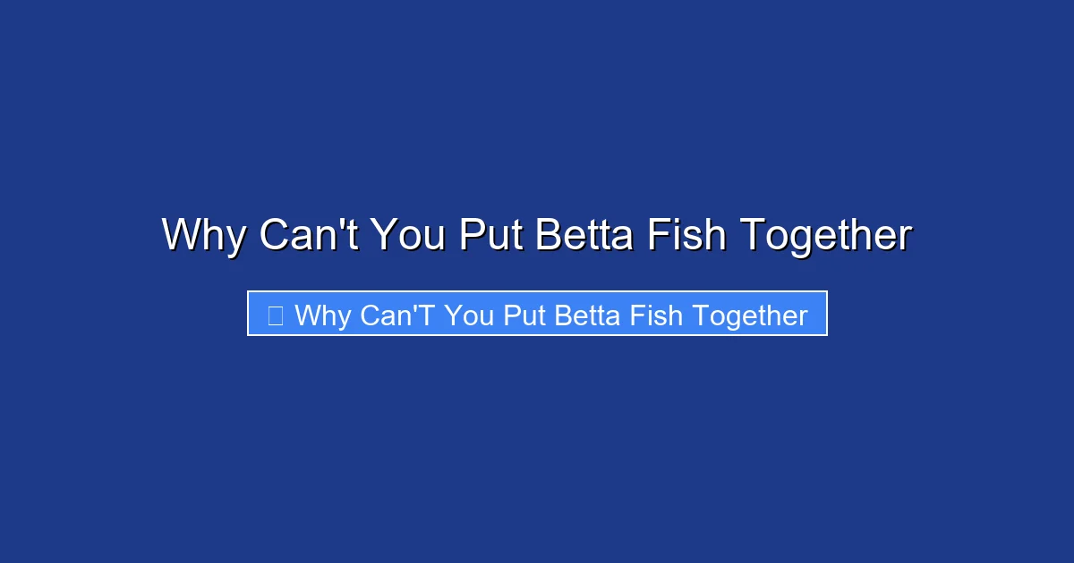 Why Can't You Put Betta Fish Together
