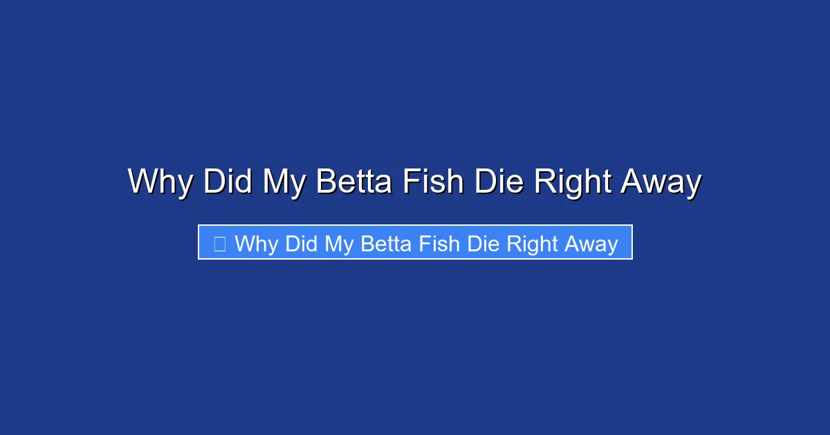 Why Did My Betta Fish Die Right Away