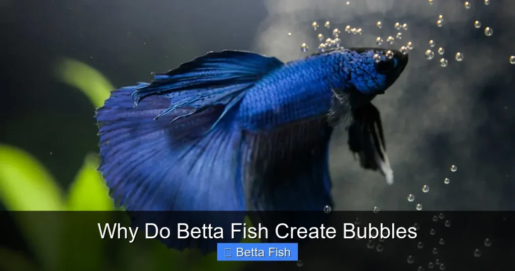 Why Do Betta Fish Create Bubbles