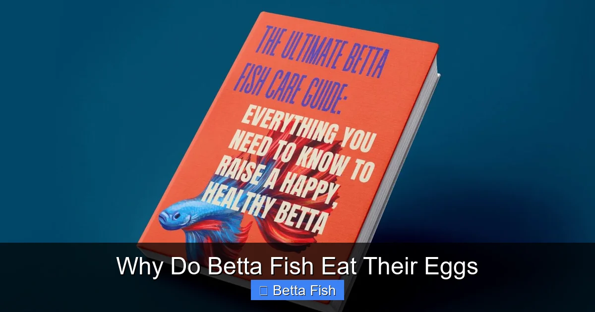 Why Do Betta Fish Eat Their Eggs