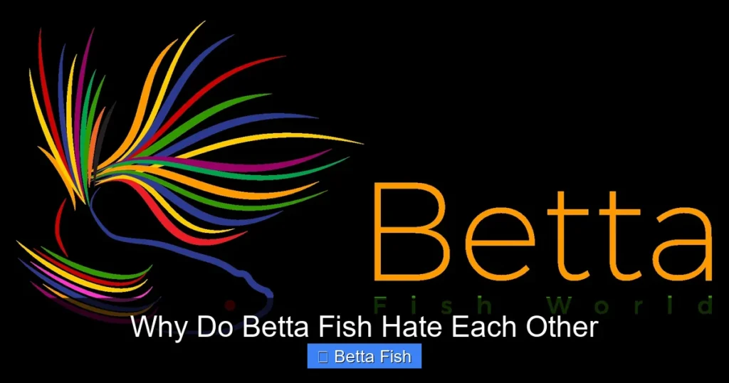 Why Do Betta Fish Hate Each Other