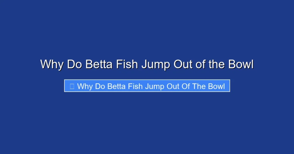 Why Do Betta Fish Jump Out of the Bowl