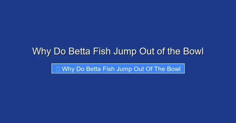 Why Do Betta Fish Jump Out of the Bowl