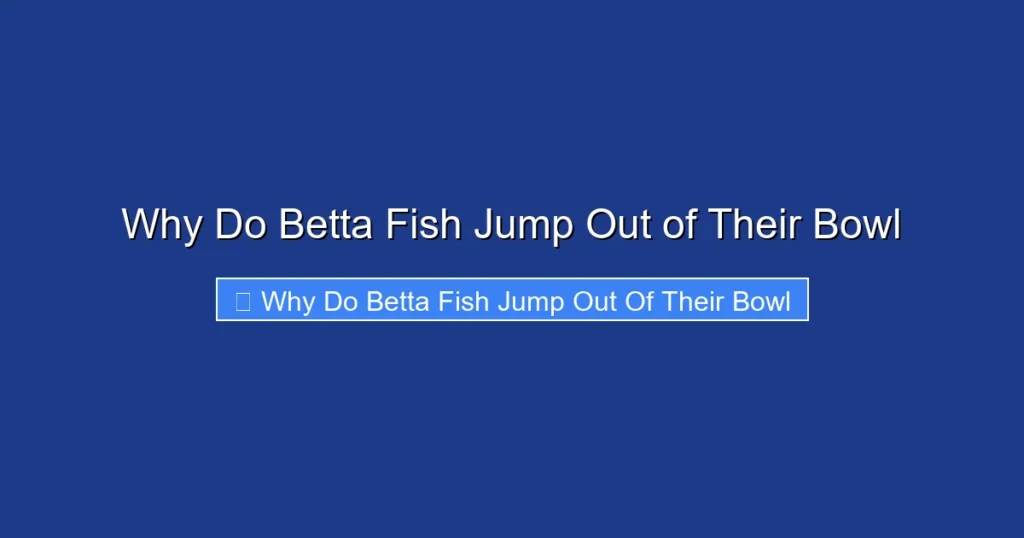Why Do Betta Fish Jump Out of Their Bowl