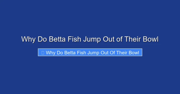 Why Do Betta Fish Jump Out of Their Bowl