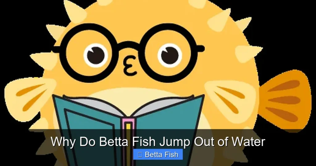 Why Do Betta Fish Jump Out of Water