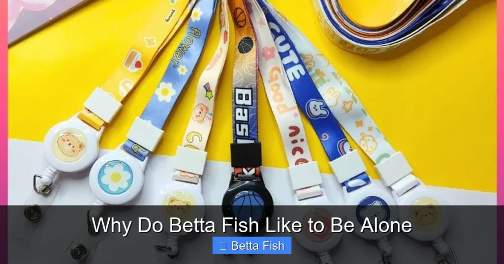 Why Do Betta Fish Like to Be Alone