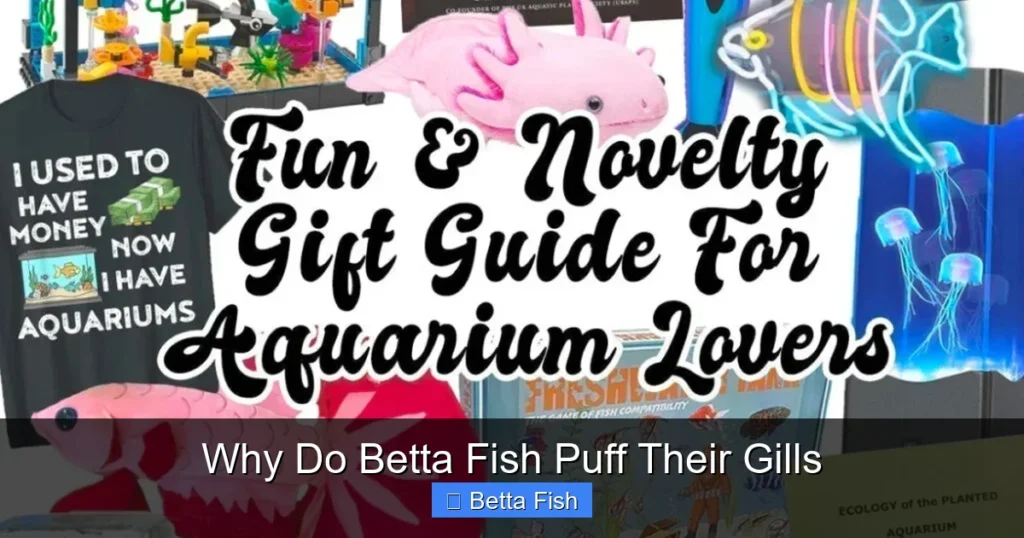 Why Do Betta Fish Puff Their Gills