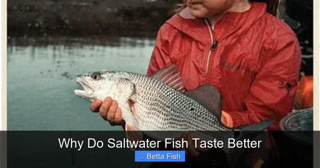 Why Do Saltwater Fish Taste Better