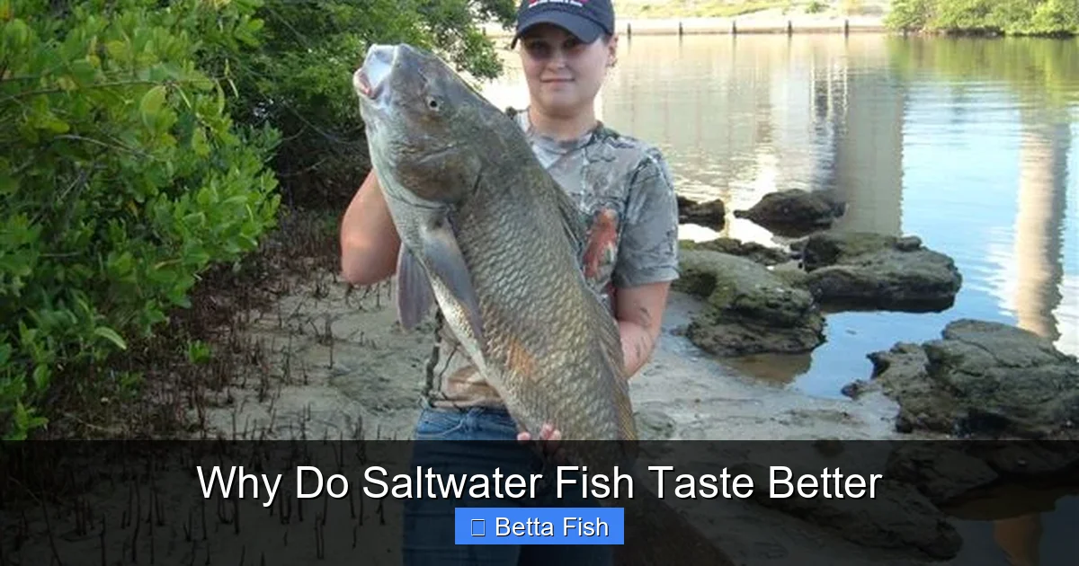 Why Do Saltwater Fish Taste Better