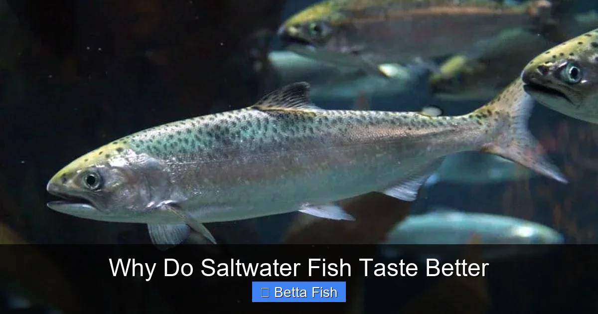 Why Do Saltwater Fish Taste Better
