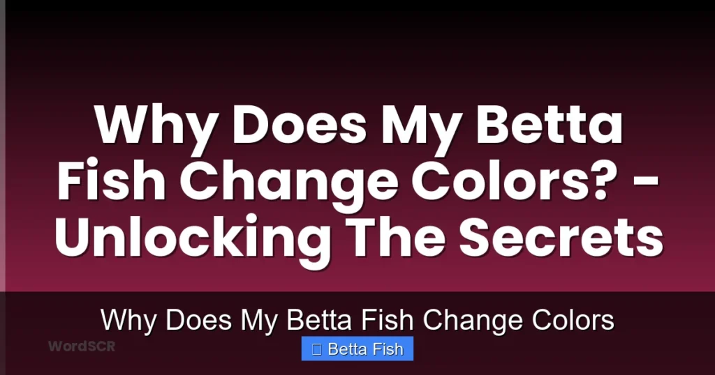 Why Does My Betta Fish Change Colors