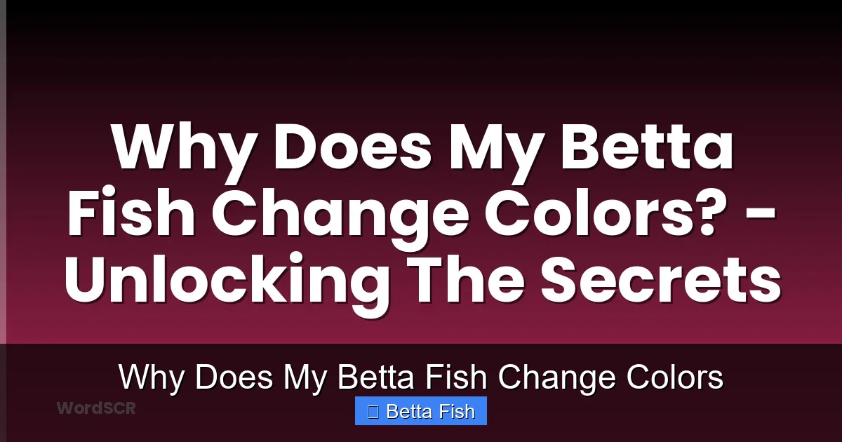 Why Does My Betta Fish Change Colors