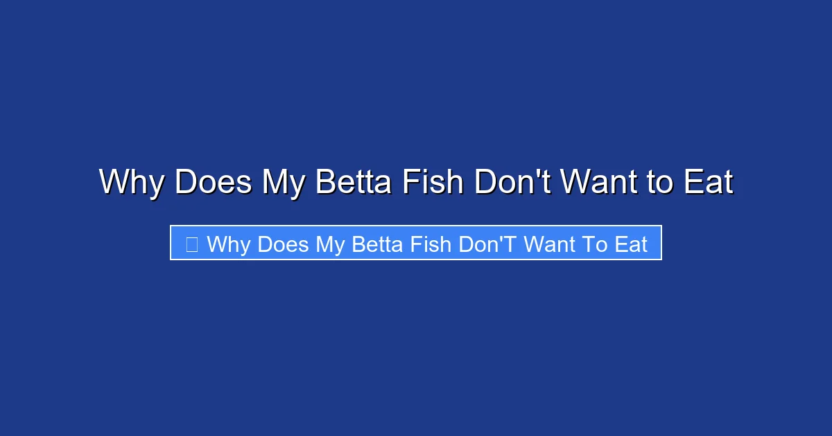 Why Does My Betta Fish Don't Want to Eat