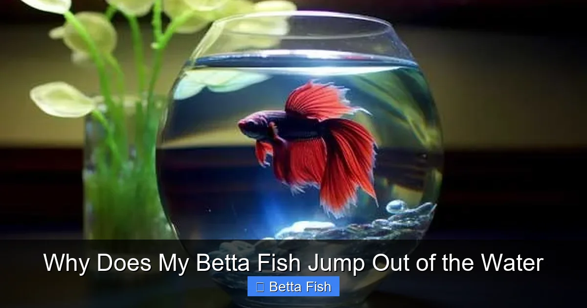Why Does My Betta Fish Jump Out of the Water