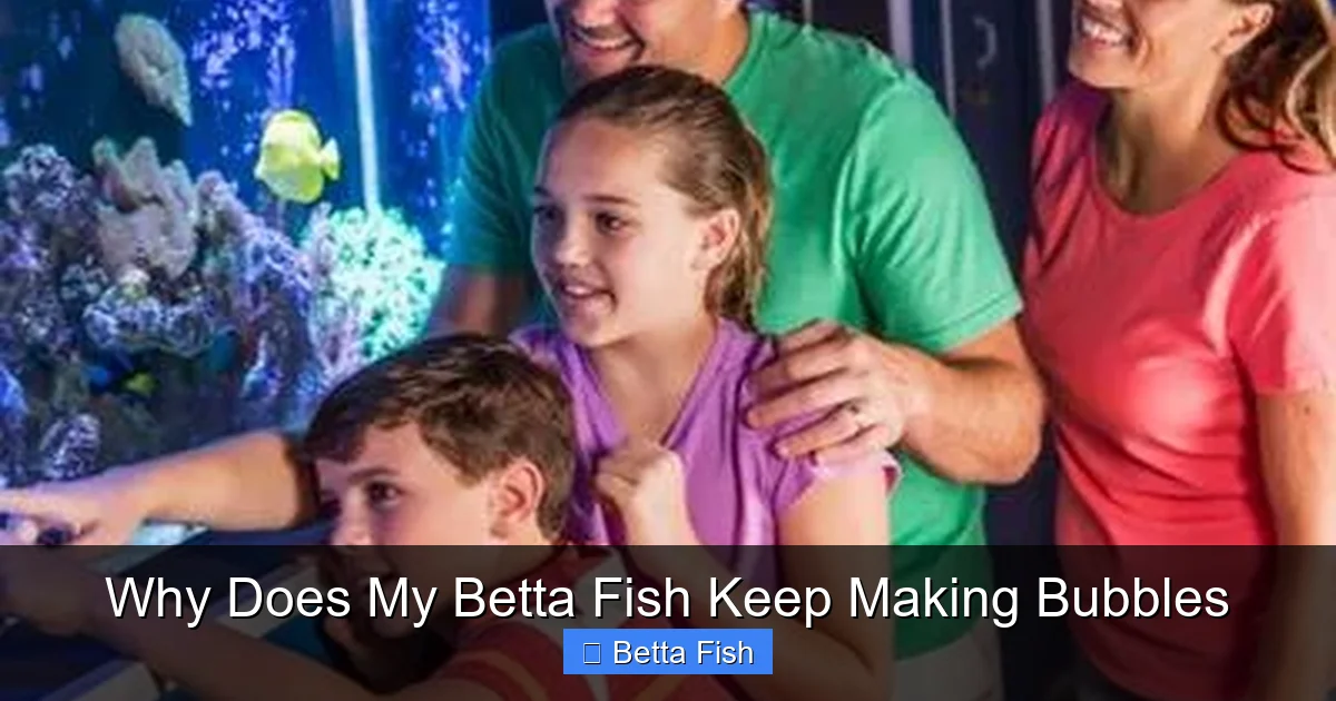 Why Does My Betta Fish Keep Making Bubbles