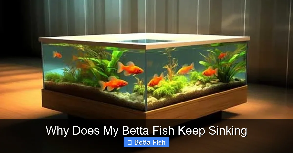 Why Does My Betta Fish Keep Sinking