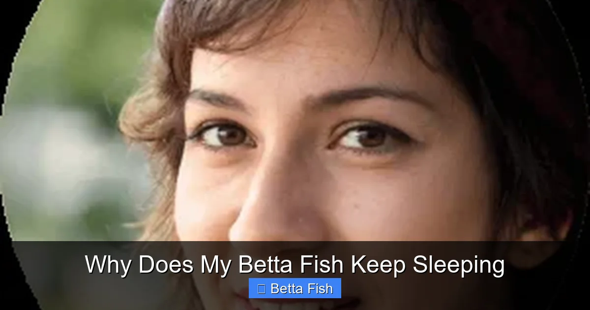 Why Does My Betta Fish Keep Sleeping