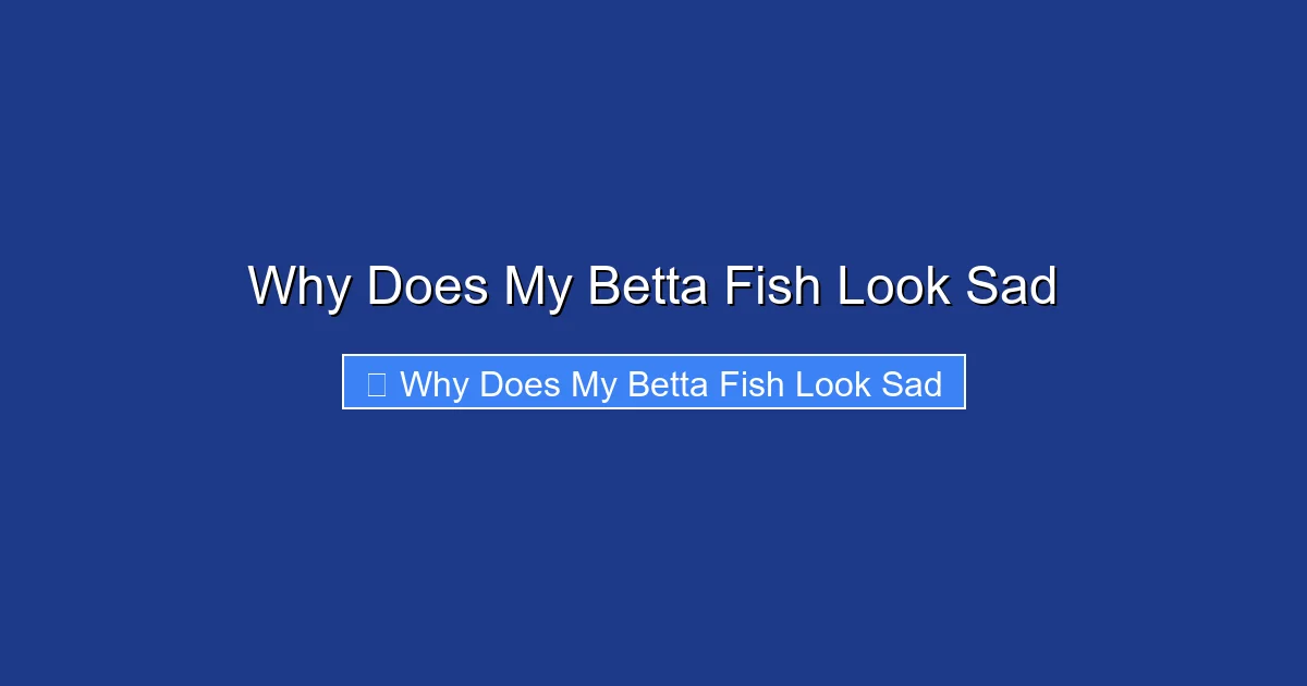 Why Does My Betta Fish Look Sad