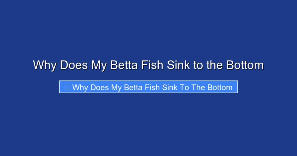 Why Does My Betta Fish Sink to the Bottom