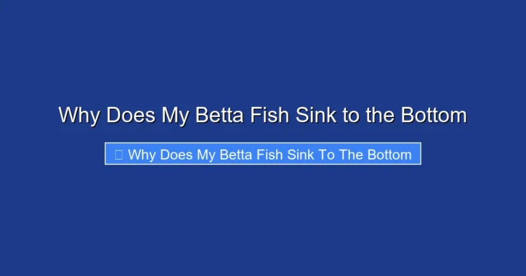 Why Does My Betta Fish Sink to the Bottom
