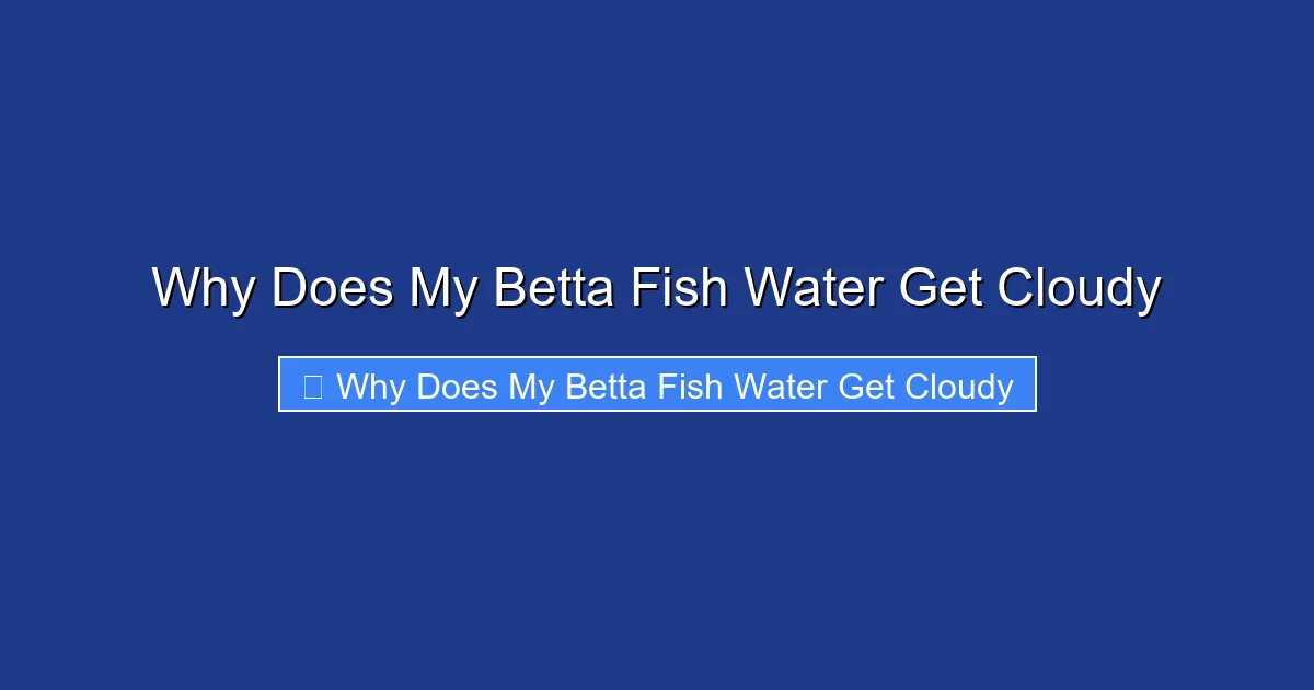 Why Does My Betta Fish Water Get Cloudy