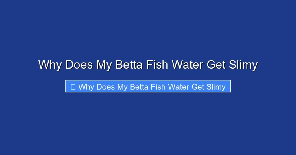 Why Does My Betta Fish Water Get Slimy
