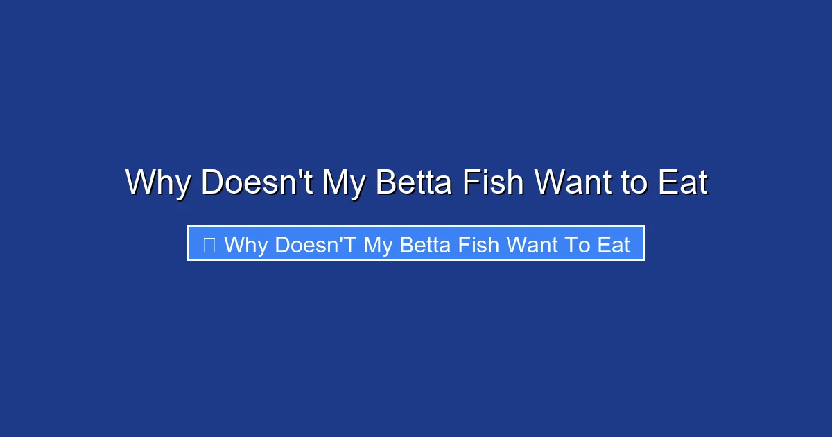 Why Doesn't My Betta Fish Want to Eat