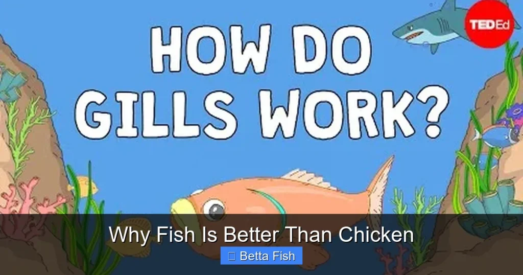 Why Fish Is Better Than Chicken