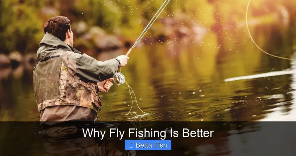 Why Fly Fishing Is Better