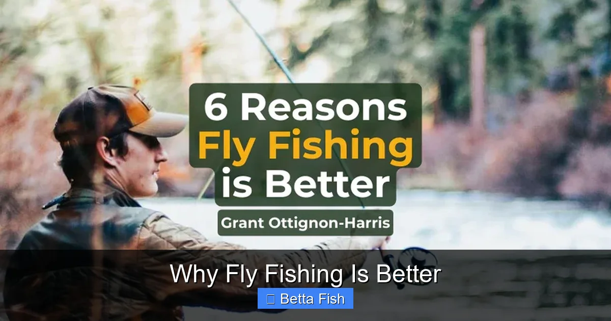 Why Fly Fishing Is Better