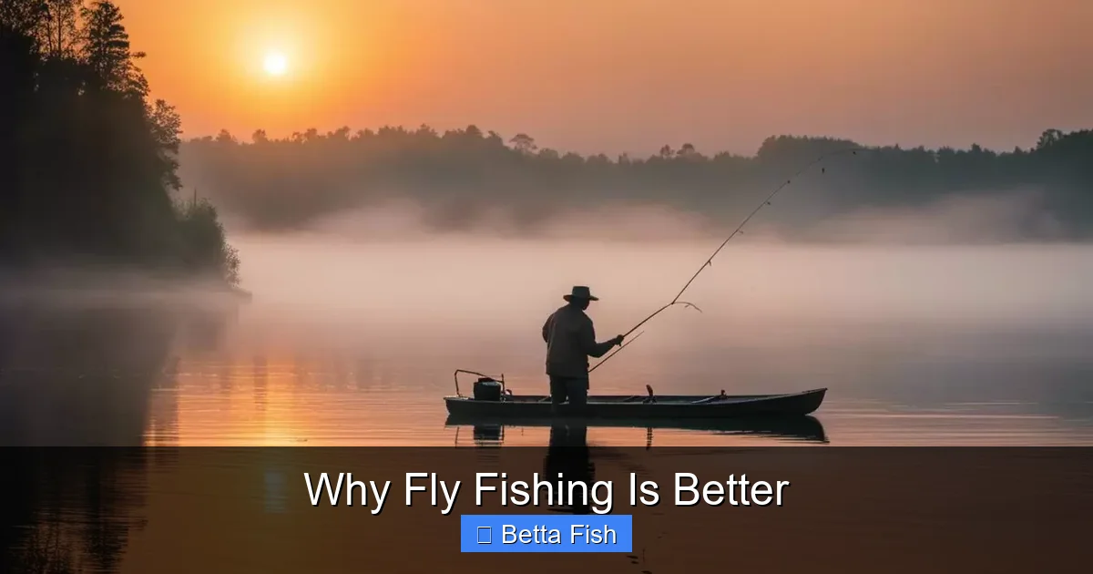 Why Fly Fishing Is Better