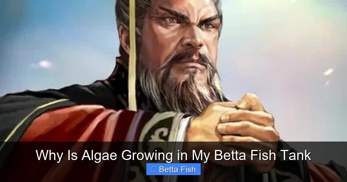 Why Is Algae Growing in My Betta Fish Tank