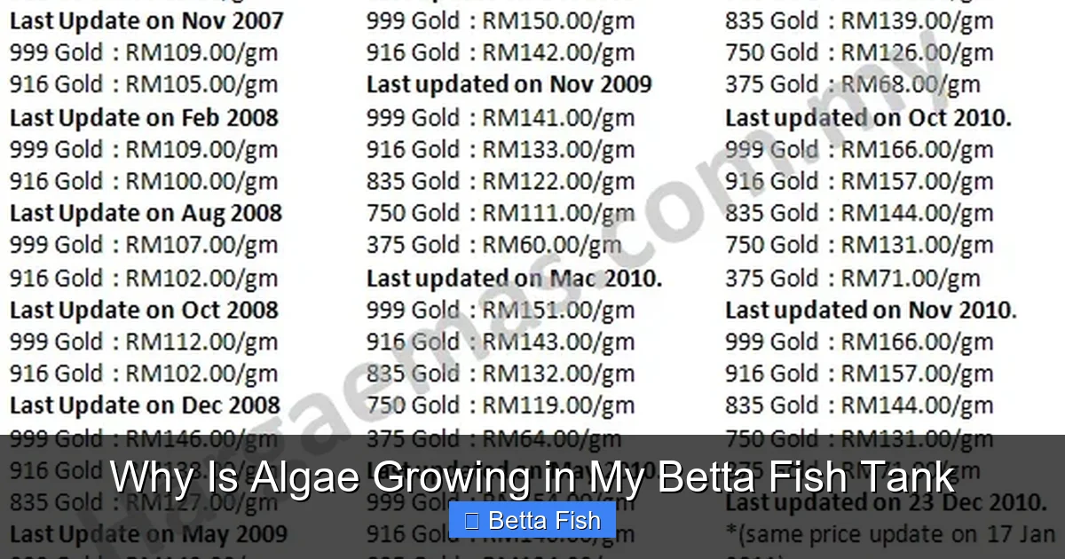 Why Is Algae Growing in My Betta Fish Tank