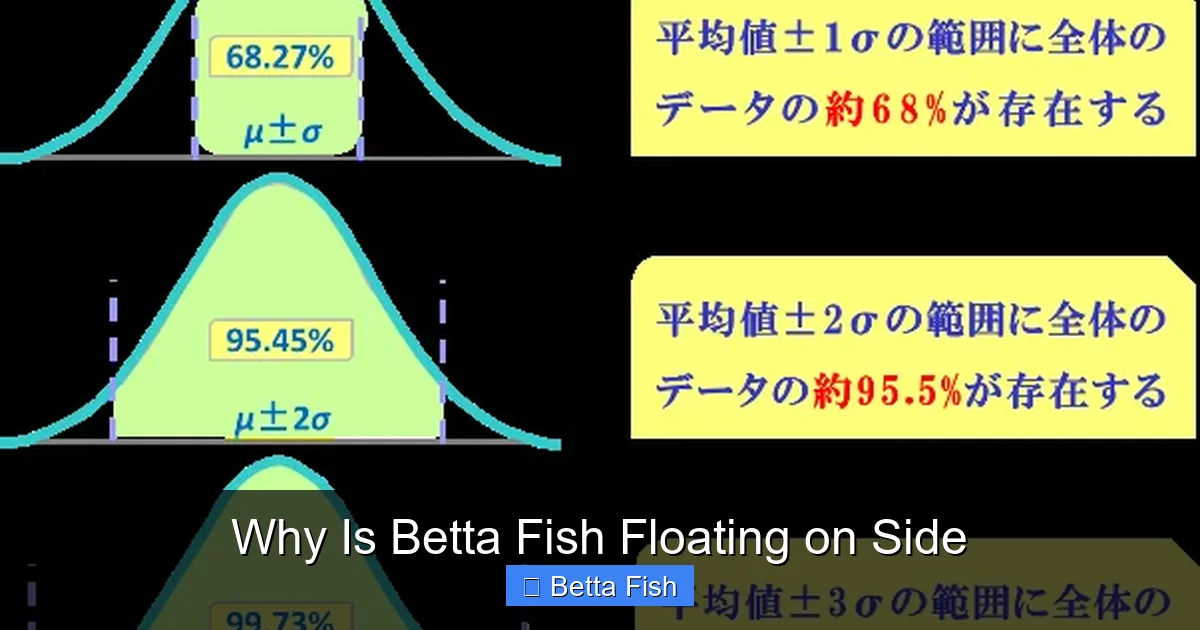 Why Is Betta Fish Floating on Side