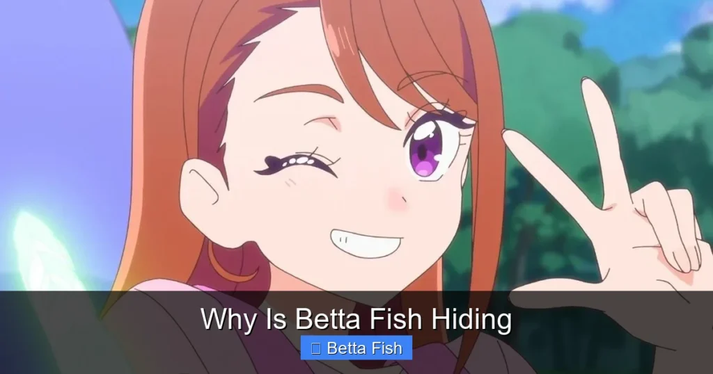 Why Is Betta Fish Hiding