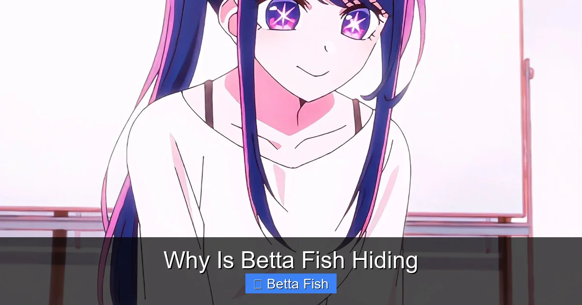 Why Is Betta Fish Hiding
